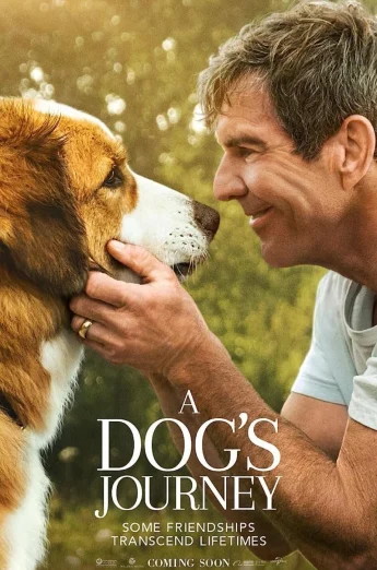 A Dog’s Journey (2019) หมา เป้าหมาย และเด็กชายของผม 2 เต็มเรื่อง 24-HD.ORG