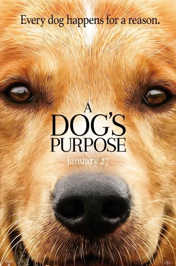 A Dog’s Purpose (2017) หมา เป้าหมาย และเด็กชายของผม เต็มเรื่อง 24-HD.ORG