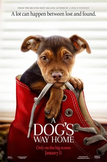 A Dog’s Way Home (2019) เพื่อนรักผจญภัยสี่ร้อยไมล์ เต็มเรื่อง 24-HD.ORG