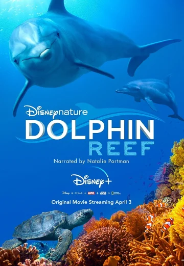 Dolphin Reef (2020) อัศจรรย์ชีวิตของโลมา เต็มเรื่อง 24-HD.ORG