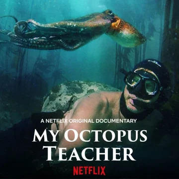 My Octopus Teacher (2020) บทเรียนจากปลาหมึก เต็มเรื่อง 24-HD.ORG