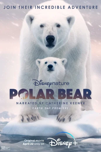 Polar Bear (2022) โพล่าแบร์ เต็มเรื่อง 24-HD.ORG