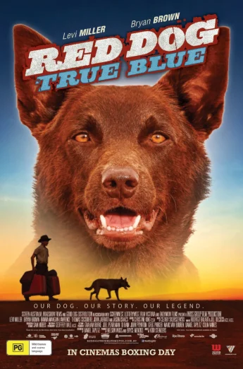 Red Dog: True Blue (2016) เพื่อนซี้หัวใจหยุดโลก 2 เต็มเรื่อง 24-HD.ORG