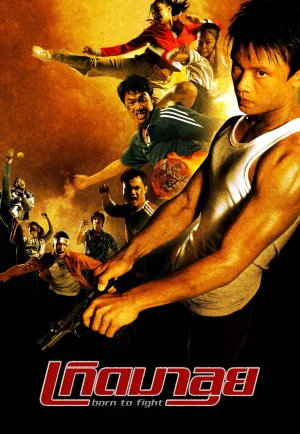 Born To Fight (2004) เกิดมาลุย เต็มเรื่อง 24-HD.ORG