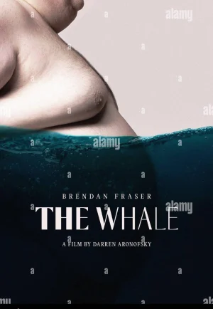 The Whale (2022) เหงาเท่าวาฬ เต็มเรื่อง 24-HD.ORG