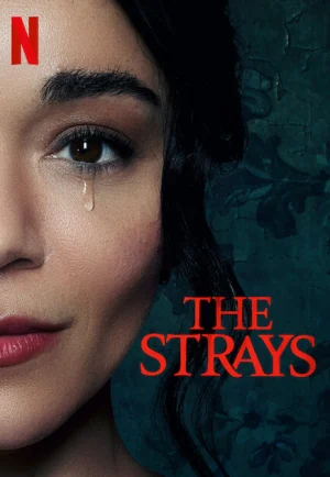 The Strays (2023) คนหลงทาง เต็มเรื่อง 24-HD.ORG