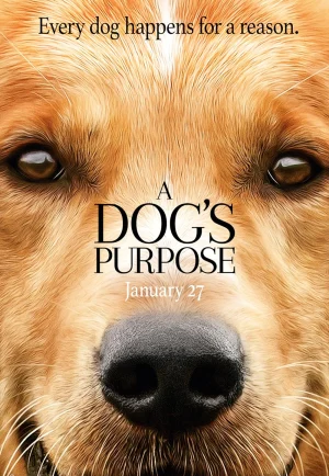 A Dog’s Purpose (2017) หมา เป้าหมาย และเด็กชายของผม เต็มเรื่อง 24-HD.ORG