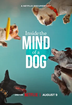 Inside the Mind of a Dog (2024) อ่านใจสุนัข เต็มเรื่อง 24-HD.ORG