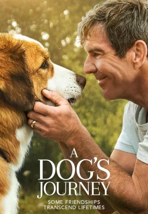 A Dog’s Journey (2019) หมา เป้าหมาย และเด็กชายของผม 2 เต็มเรื่อง 24-HD.ORG