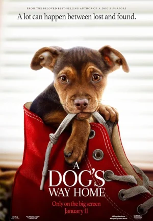 A Dog’s Way Home (2019) เพื่อนรักผจญภัยสี่ร้อยไมล์ เต็มเรื่อง 24-HD.ORG