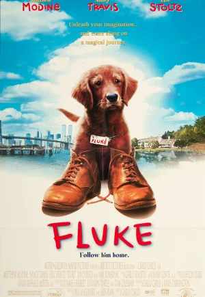 Fluke (1995) เกิดใหม่กลายเป็นหมา เต็มเรื่อง 24-HD.ORG