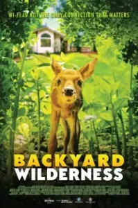 Backyard Wilderness (2018)